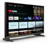 PHILIPS 24" Hospitality TV, IPTV