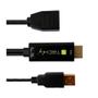 TECHLY Icoc Hdmi-Dp12A Video Signal  (ICOC-HDMI-DP12A)