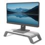 FELLOWES Computer Monitor Stand With 3 