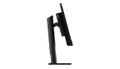 LENOVO ThinkCentre TIO24 Gen 5 23.8inch Touch IPS 1920x1080 16:9 250cd/m2 HDMI DP USB TopSeller (12NBGAT1EU)