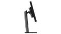 LENOVO TS/ ThinkVision P27pz-30 27'' 4K UHD IPS (63E4GAT2EU)