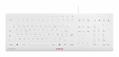 CHERRY STREAM PROTECT KB PALE GRAY PERP (JK-8502FR-0)