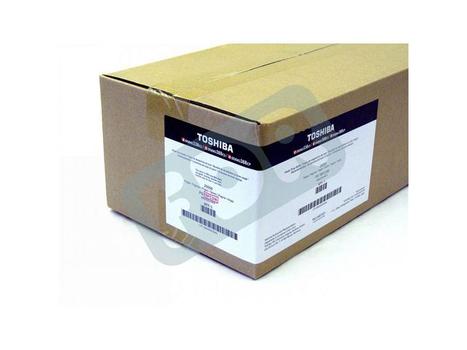 TOSHIBA Waste Toner Bottle (6B000000945)