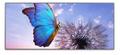 NEC LED-FE009i2-104, FE-Series 
