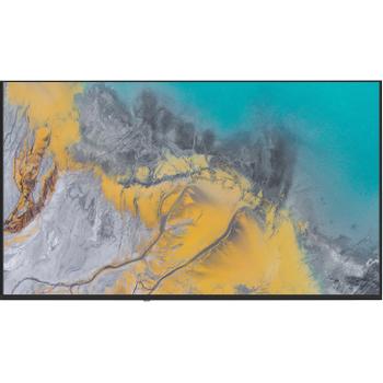 ADisplay Signage PRO 55 (AD5501-AGA)