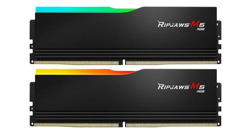 G.SKILL Memory Module 32 Gb 2 X 16 Gb (F5-6400J3239G16GX2-RM5RK)