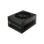 FSP/Fortron Dagger Pro Atx3.0(Pcie5.0)