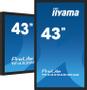 IIYAMA 43" PCAP  Anti-glare Bezel Free, Android 11 OS,  40-Points Touch Screen, 1920x1080, IPS panel, 24/7 operation, 2xHDMI, DisplayPort, VGA, 500cd/m˛, 1200:1, Touch Through Glass (Gloves) supported, Lands