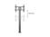 MULTIBRACKETS M Public Display Stand 210 HD B2B Black w. Floormount (7350073738311)