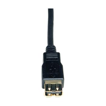 TRIPP LITE Usb 2,0 Hi-Speed Extension  (U024-010)