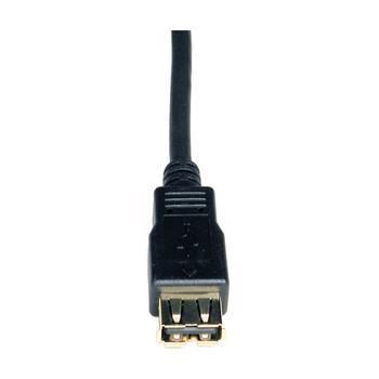 TRIPP LITE Usb 2.0 Hi-Speed Extension  (U024-006)