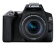 CANON EOS 250D + EF-S 18?55 mm (3454C002)