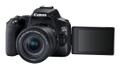 CANON EOS 250D + EF-S 18?55 mm (3454C002)
