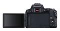 CANON EOS 250D + EF-S 18?55 mm (3454C002)