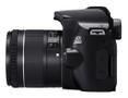 CANON EOS 250D + EF-S 18?55 mm (3454C002)