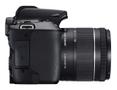 CANON EOS 250D + EF-S 18?55 mm (3454C002)