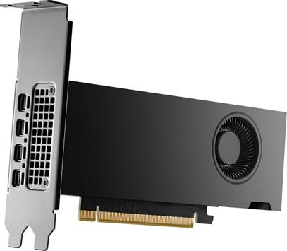 HP NVIDIA RTX 2000 Ada 16GB 4mDP Graphics (8D6B8AA)