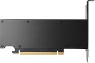 HP NVIDIA RTX 2000 Ada 16GB 4mDP Graphics (8D6B8AA)