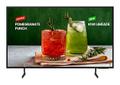 SAMSUNG BE43D-H