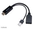 AKASA HDMI to DisplayPort Adapter with USB power cable 4K@60Hz