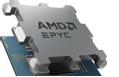 AMD EPYC 4244P Tray 12 units