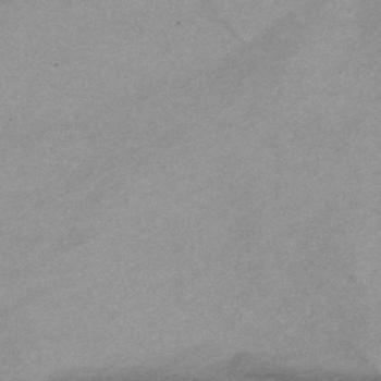 WhiteLabel Silkepapir 36x49cm 480ark grå (Daarbak-297126)