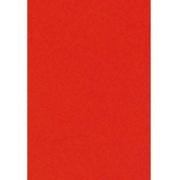 WhiteLabel Skiltekarton 100x70cm 100g neonrød