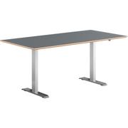 WhiteLabel Hævesænkebord alu stel 80x160cm antracit laminat