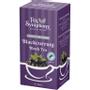 Tea Symphony Blackcurrant 20 tebreve