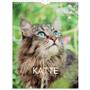 Mayland 2025 25066300 katte vægkalender 29,5x39cm