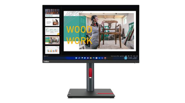 LENOVO ThinkVision P24q-30 23.8inch Monitor HDMI DP 4xUSB 3.2 (63B4GAT6EU)
