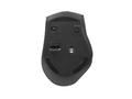 EQUIP Wireless Mouse With Dual  (245115)