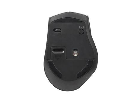 EQUIP Wireless Mouse With Dual  (245115)