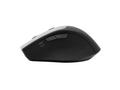 EQUIP Wireless Mouse With Dual  (245115)