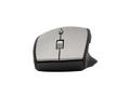 EQUIP Wireless Mouse With Dual  (245115)
