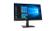 LENOVO 27" Skærm ThinkVision T27q-20 - 2560x1440 - IPS - Sort - 4 ms (61EDGAT2EU)