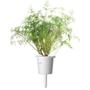 Click & Grow Click and Grow Smart Garden Refill 3-pack - Färsk Dill, perfekt för enkel och näringsrik inomhusodling av dill. Snabb groddning (SGR49X3)