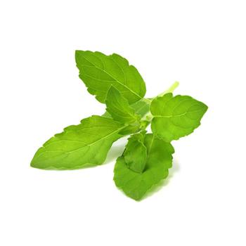 Click & Grow Smart Garden Refill 3-pak - Holy Basil (SGR66X3)