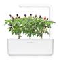 Click & Grow Taimekapsel Click &amp; Grow Plant pod 3-pack, tšillipipar (SGR46X3)