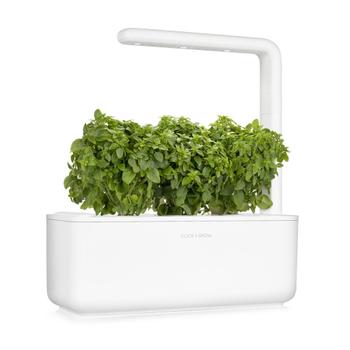 Click & Grow Smart Garden Refill 3-pak - dværgbasilikum (SGR21X3)