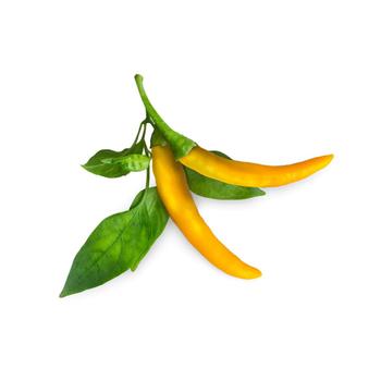 Click & Grow Smart Garden Refill 3-pack - Yellow Chili Pepper (SGR60X3)