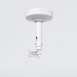 ECLER CEILY (CCEILYWH)