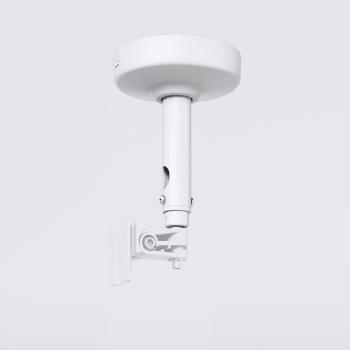 ECLER CEILY (CCEILYWH)