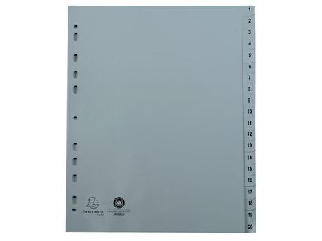 EXACOMPTA Register EXACOMPTA FOREVER A4 1-20 grå (1721E)