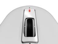 GENESIS NMG-2190 (NMG-2190)