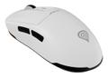 GENESIS Gaming Maus ZIRCON 660 kabellos weiÃ? (NMG-2192)