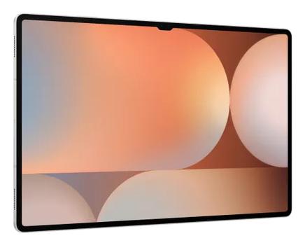 SAMSUNG Galaxy Tab S10 Ultra (SM-X920NZSREUB)