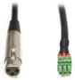 ECLER EUROBLOCK 3p XLR FEMALE cable