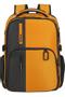 SAMSONITE BIZ2GO Backpack 15.6" 