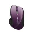 CANYON Mouse Right-Hand Rf Wireless